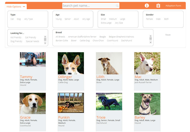 Default view of plugin