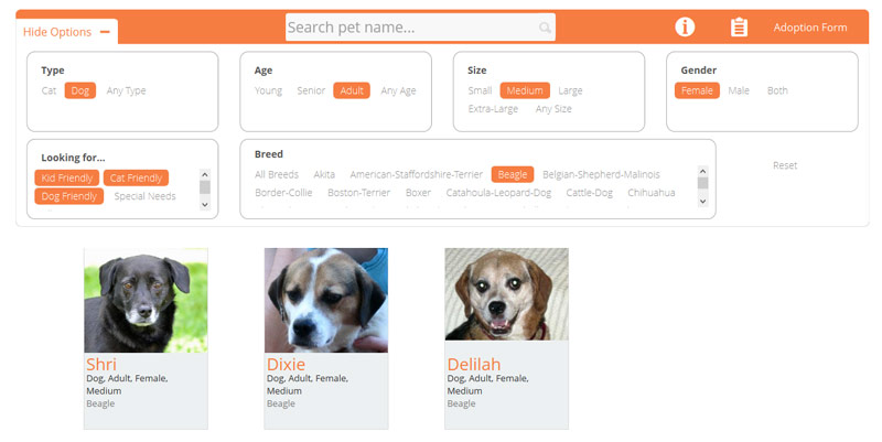Filtered animals by clicked prefrences
