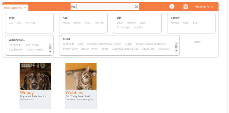 Filtered animals by searching by name