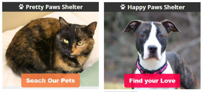 Widget Examples