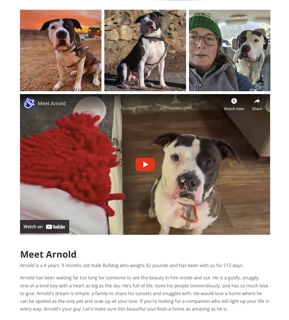 Animal detail page