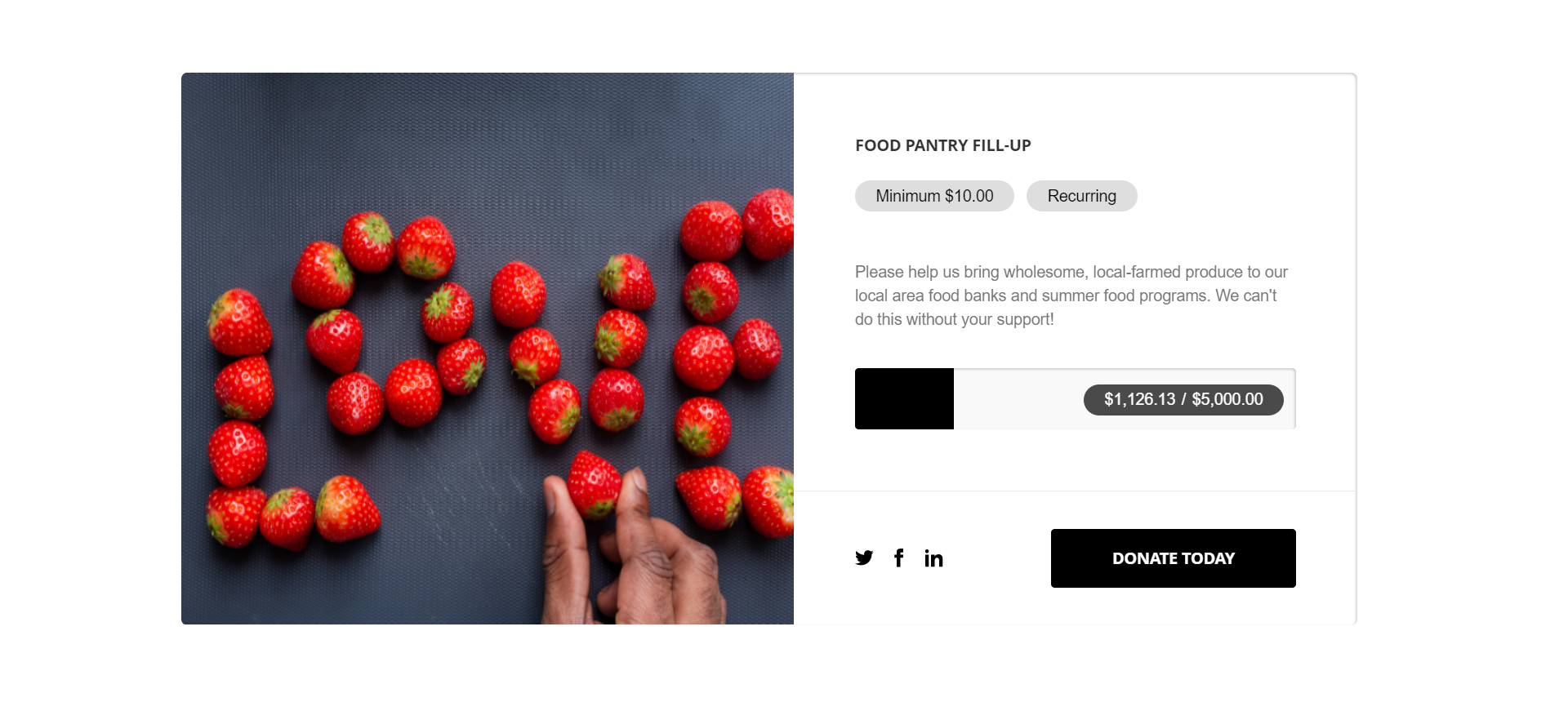 Modal online donation form with Financial Performance Chart.