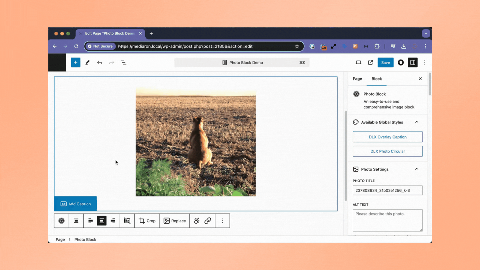 Set the overlay type to None, Solid, Gradient, or Image.