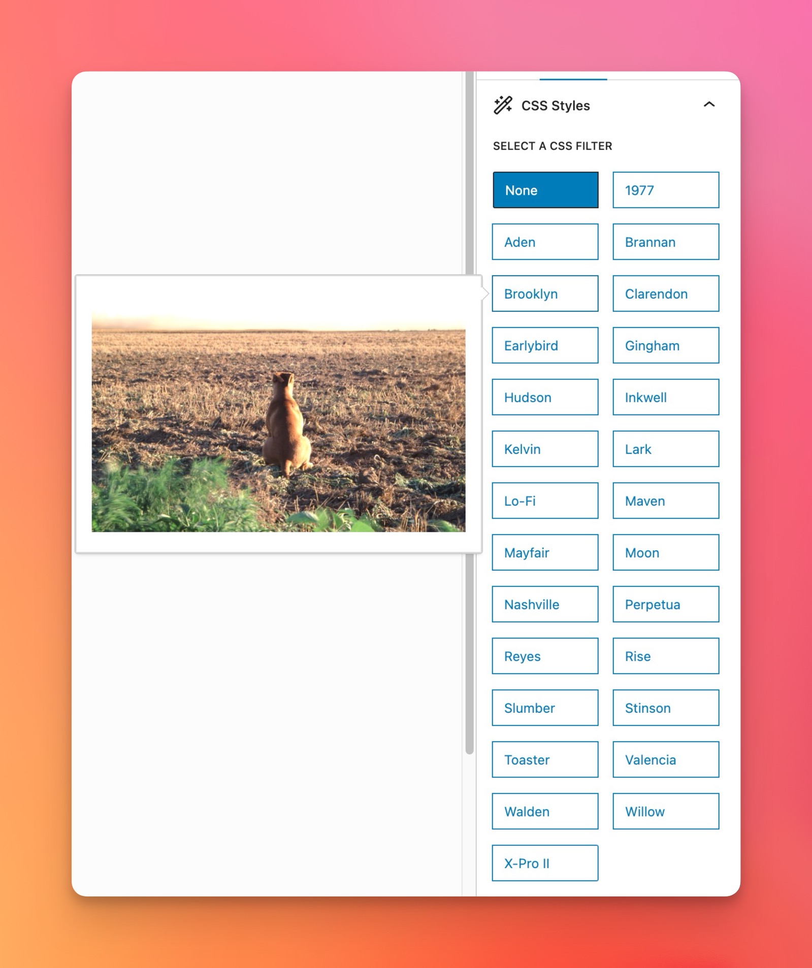 Set the caption's sizing using available block options.