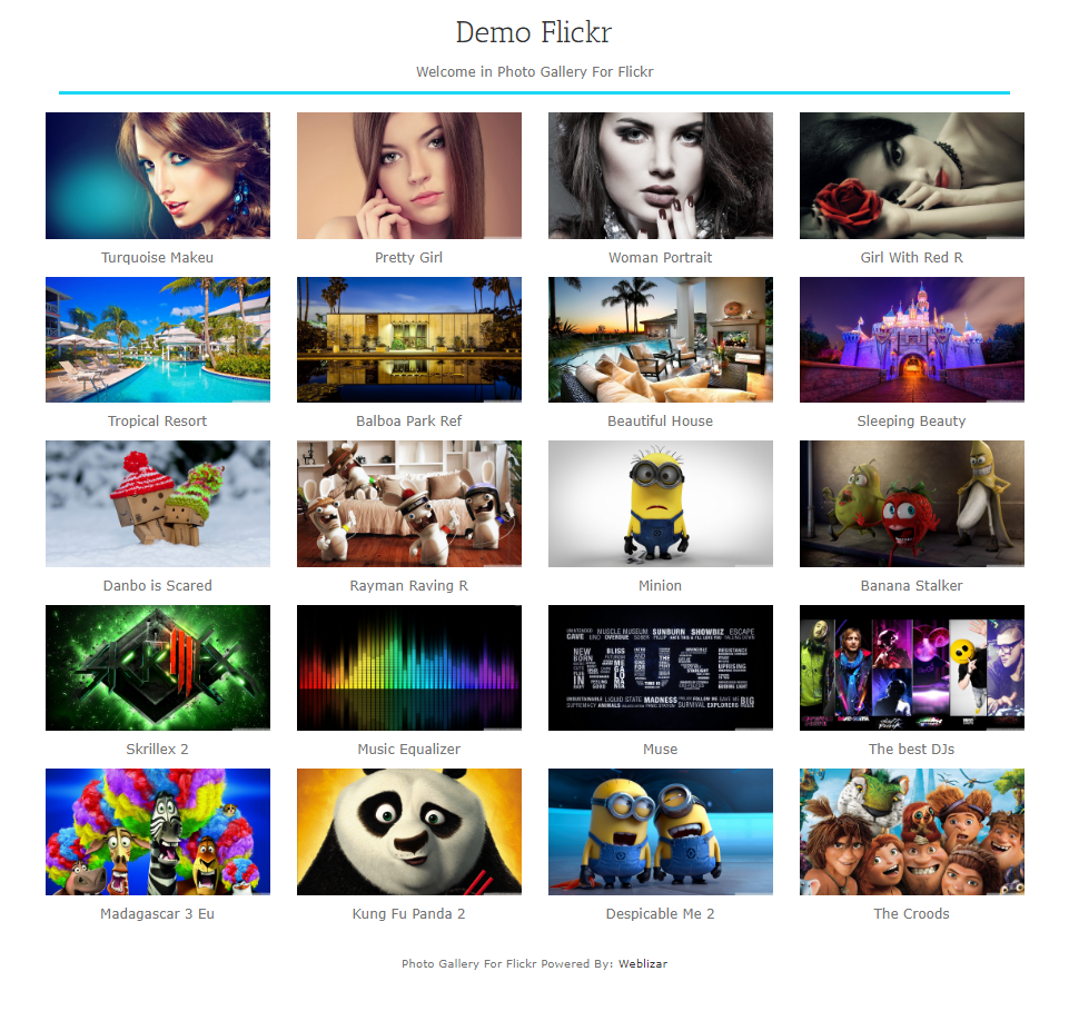 Photo Gallery Page layout