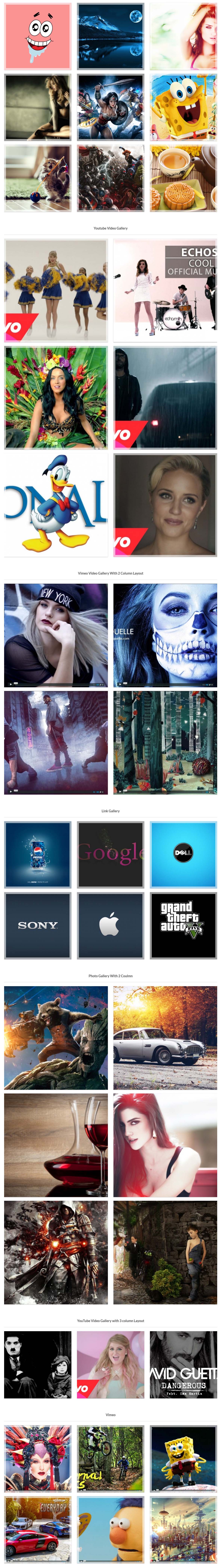 Gallery Preview on Site