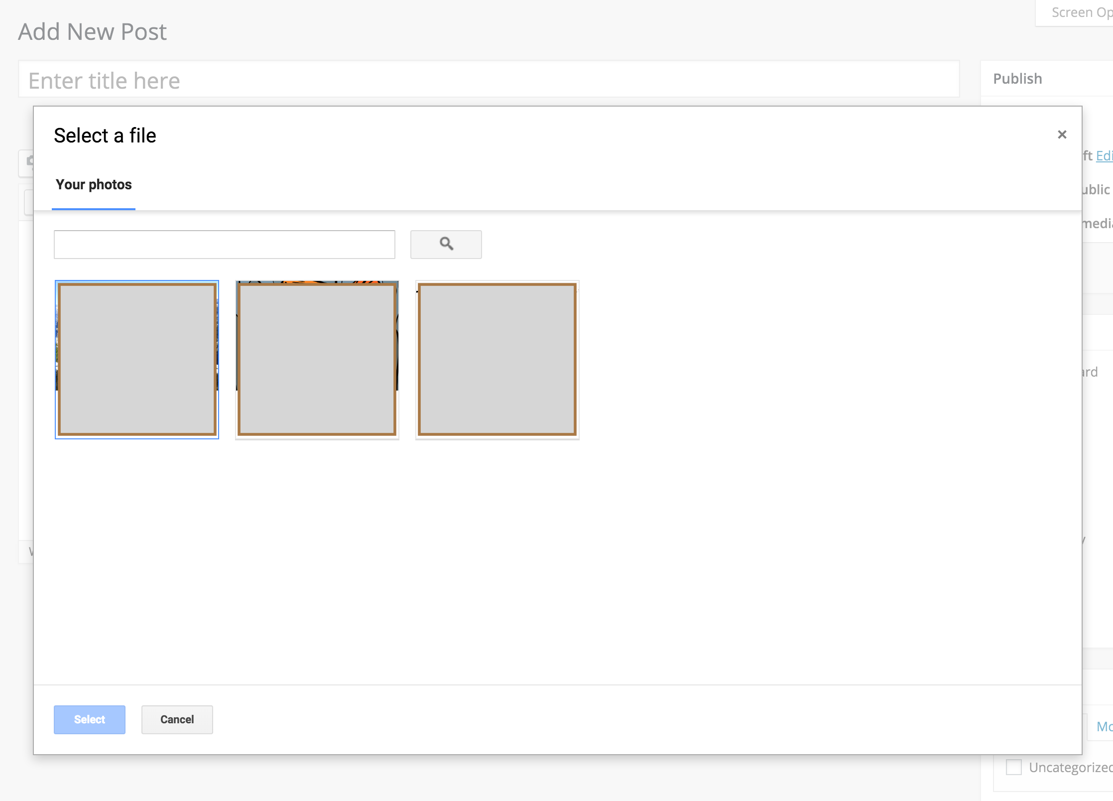 Google Picker to choose photos