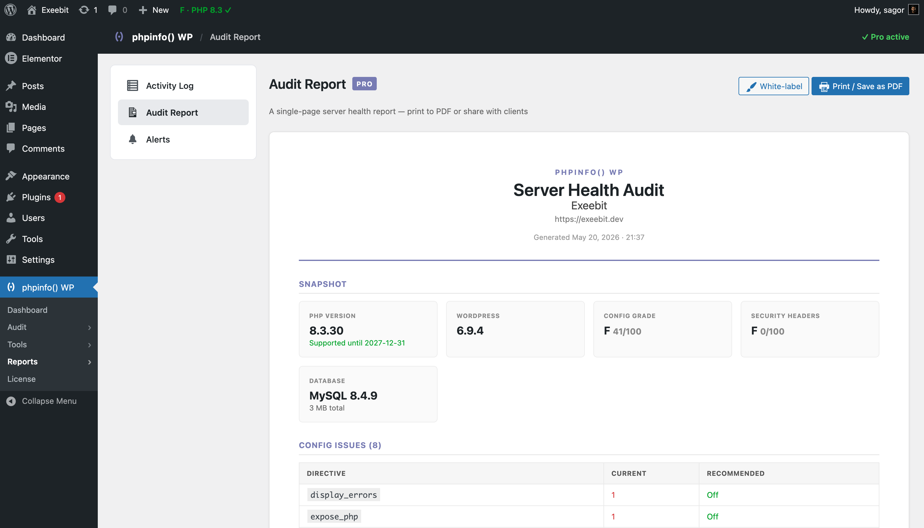 Audit Report (Pro) — single-page white-label PDF you can hand to clients.