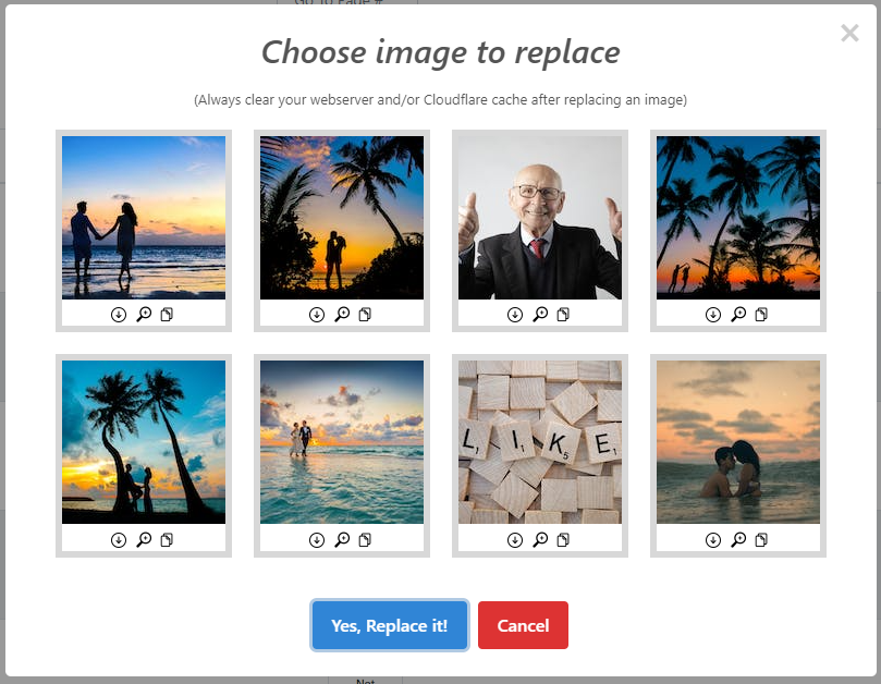 When clicking the 'Replace' button on your risk report you will see a popup to choose a relevant image from Pexels to replace the high-risk image with.
