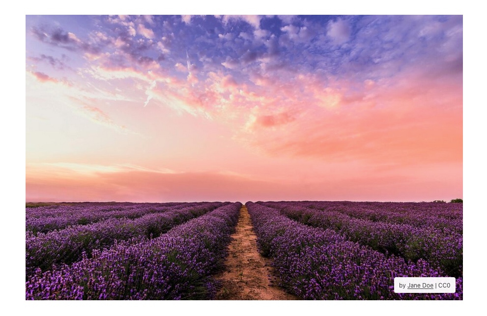 Example of overlay annotation