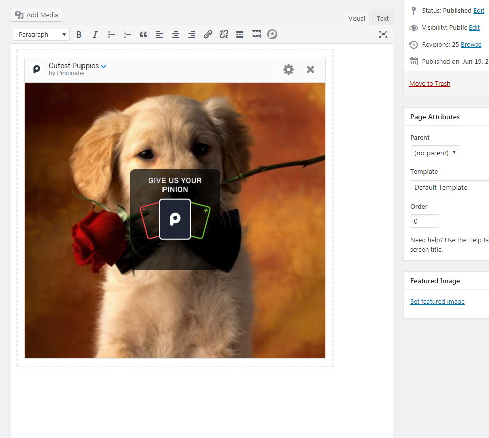 The embedded item will appear in your WordPress visual editor.