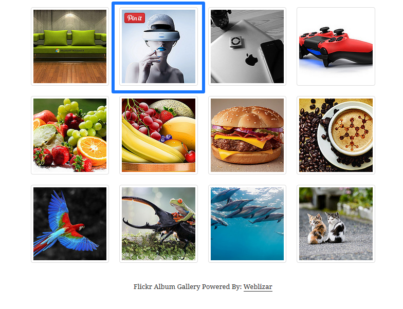 Pinterest Pin It Button On Image Hover With Image Gallery