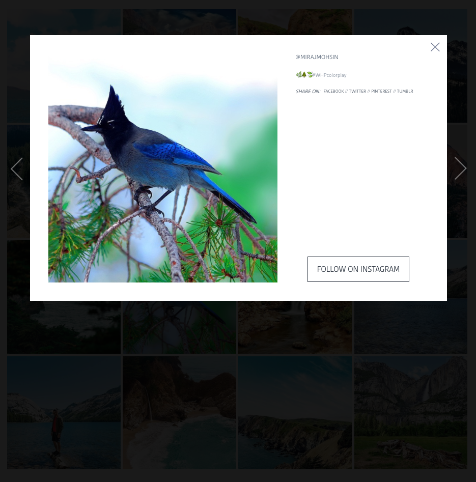 Built in modal lightbox with photo details, social sharing icons, and “Follow on Instagram” links on every photo