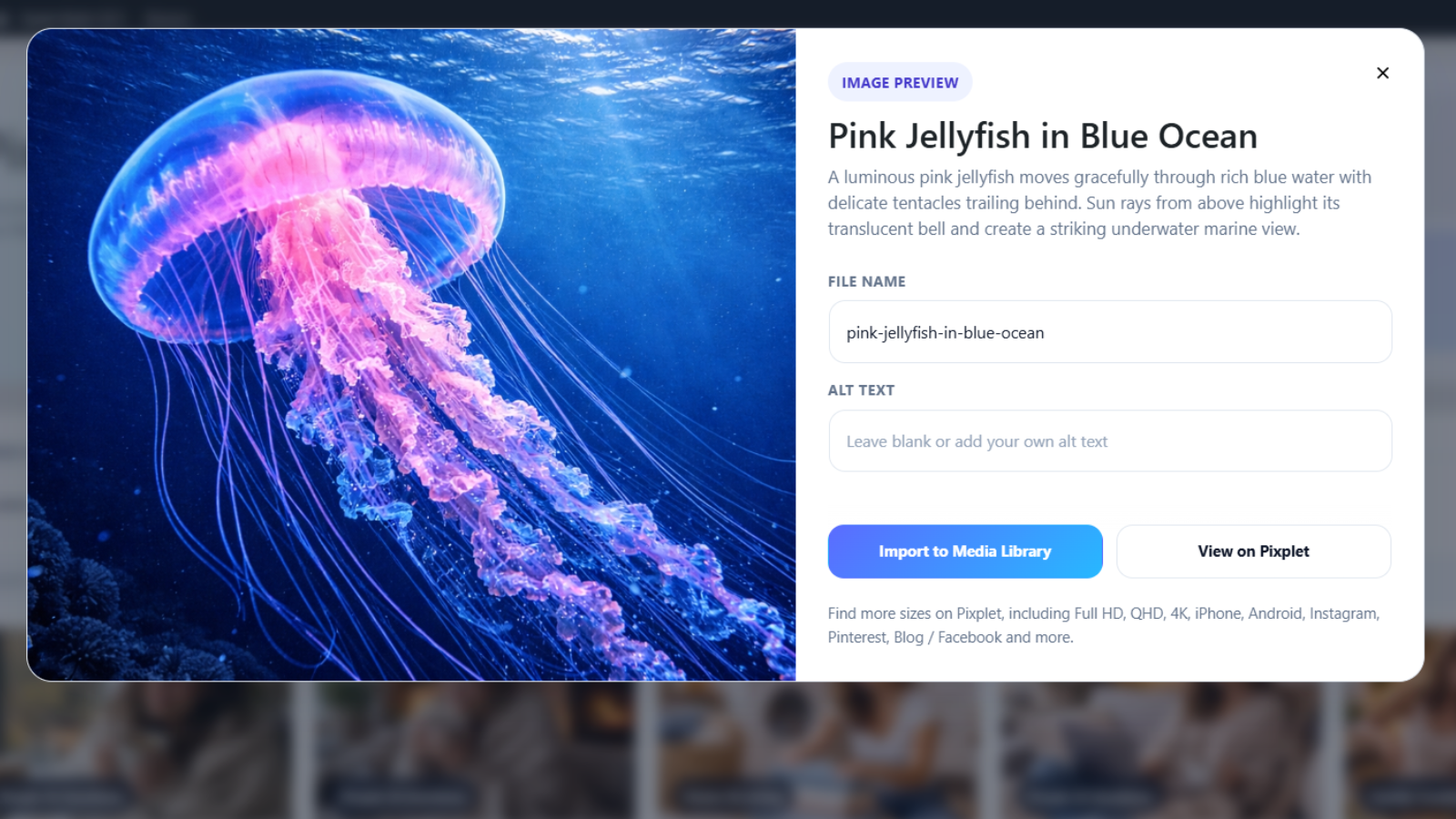 Preview an image, review details, and import it into the WordPress Media Library.