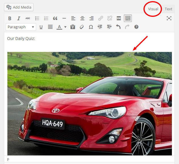 Pasting the URL to the visual-editor.