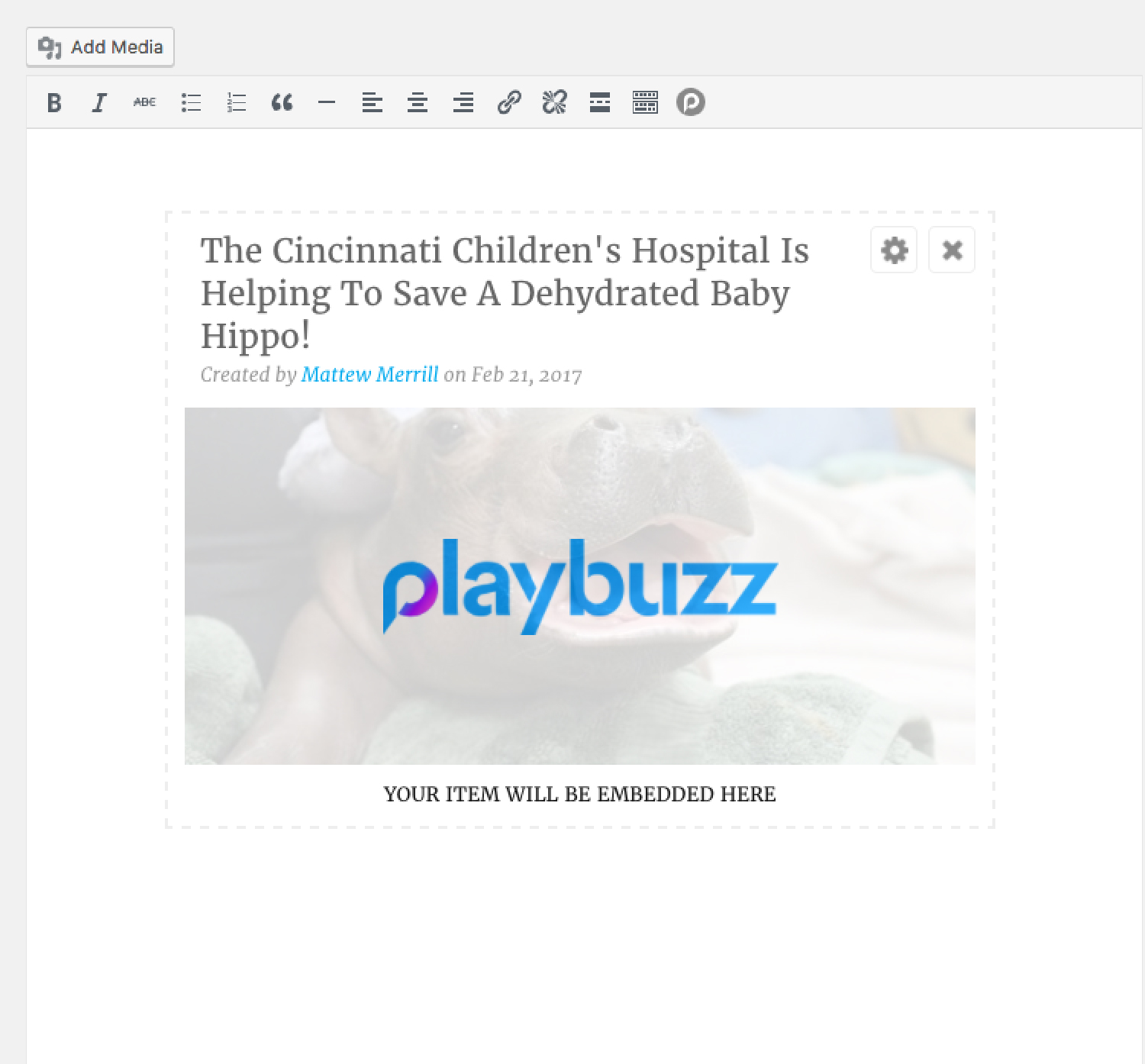 The embedded item will appear in your WordPress visual editor.