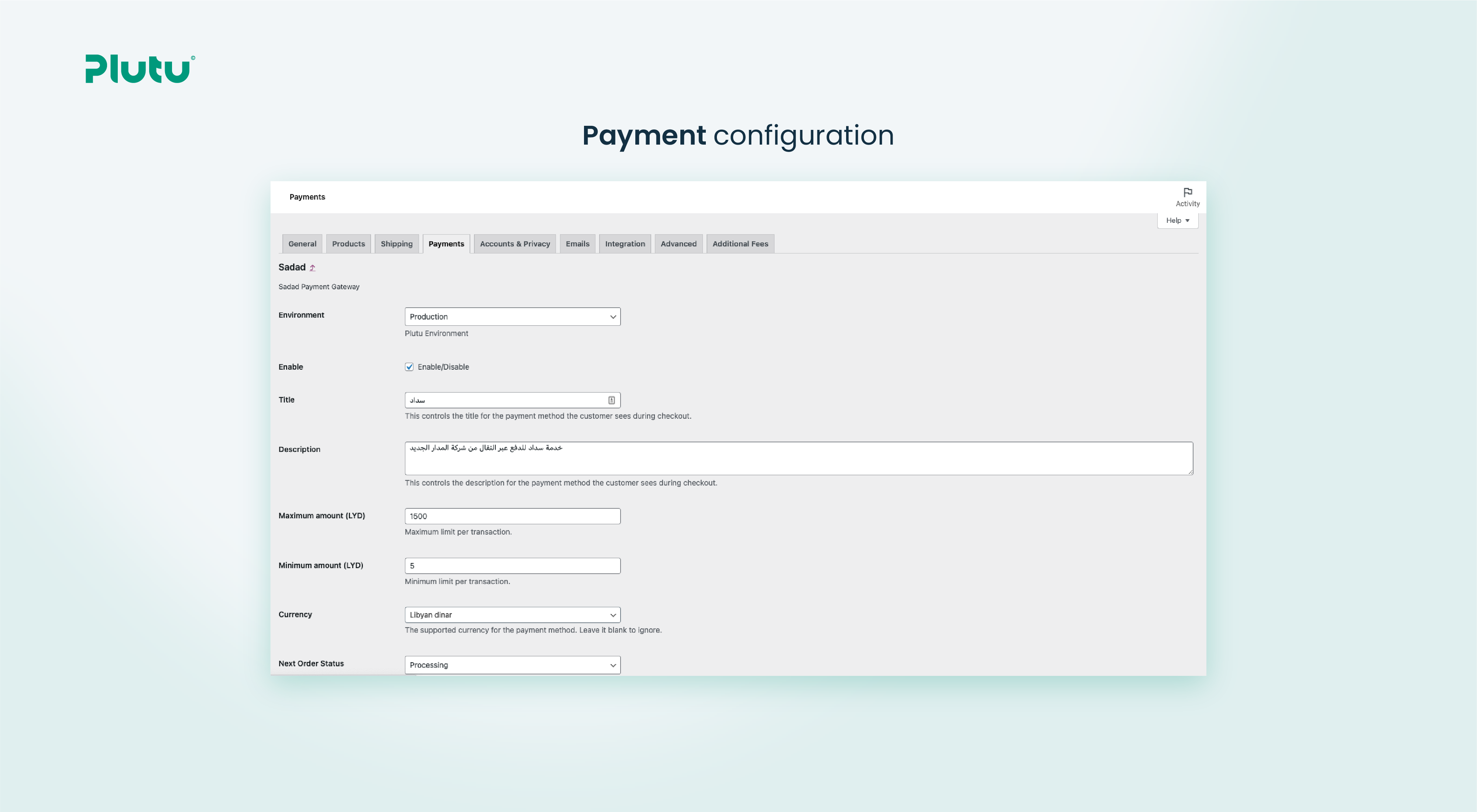 Payment configuration