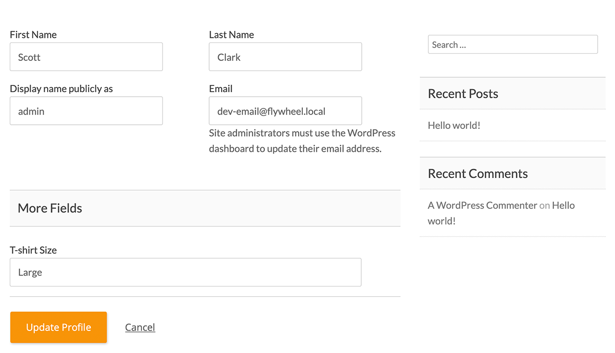 Custom field on the Edit Membership Level page in the WordPress admin