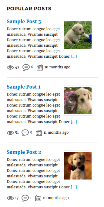 Backend Popular Posts Block Widget Settings