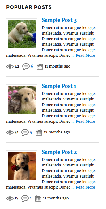 Frontend widget view with Sort By Comments