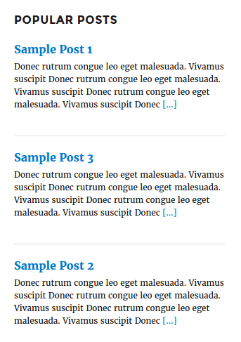 Frontend widget view with custom Read More Text