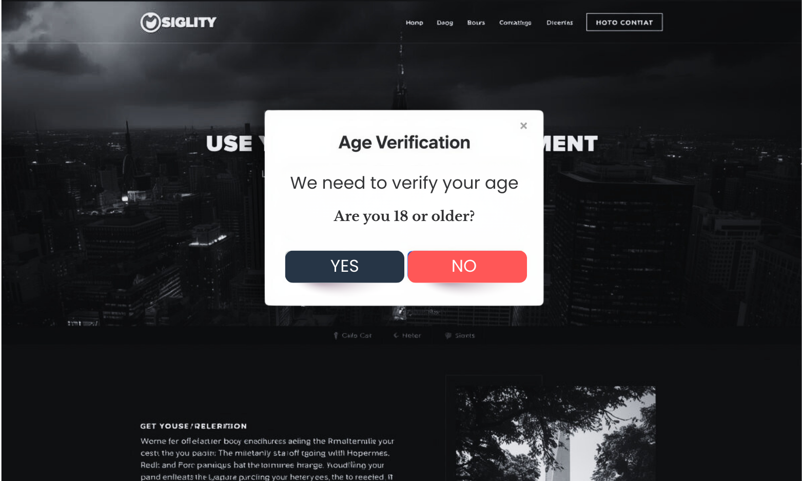 Age Verification & Compliance Popup Example