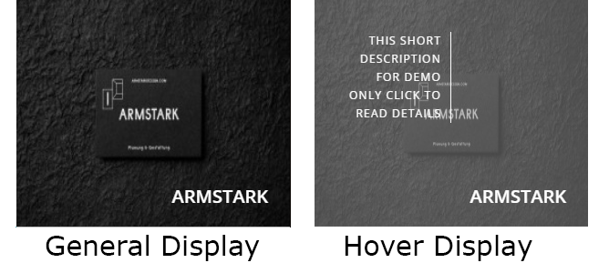 Portfolio general and hover display