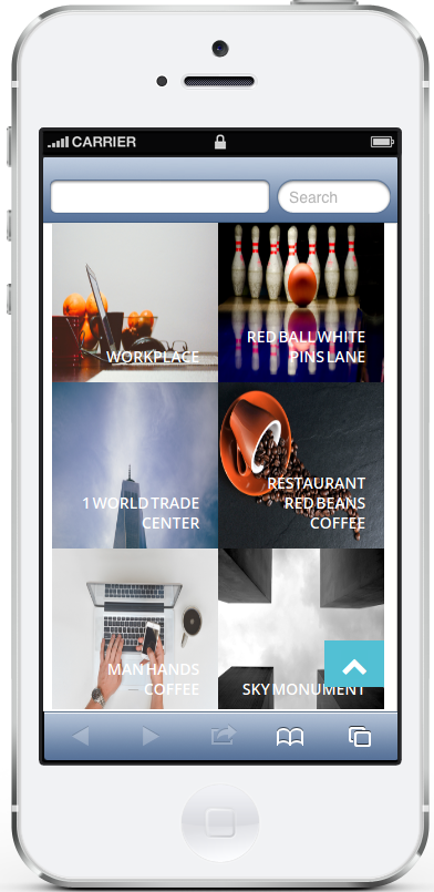 Portfolio responsive display in iPhone5
