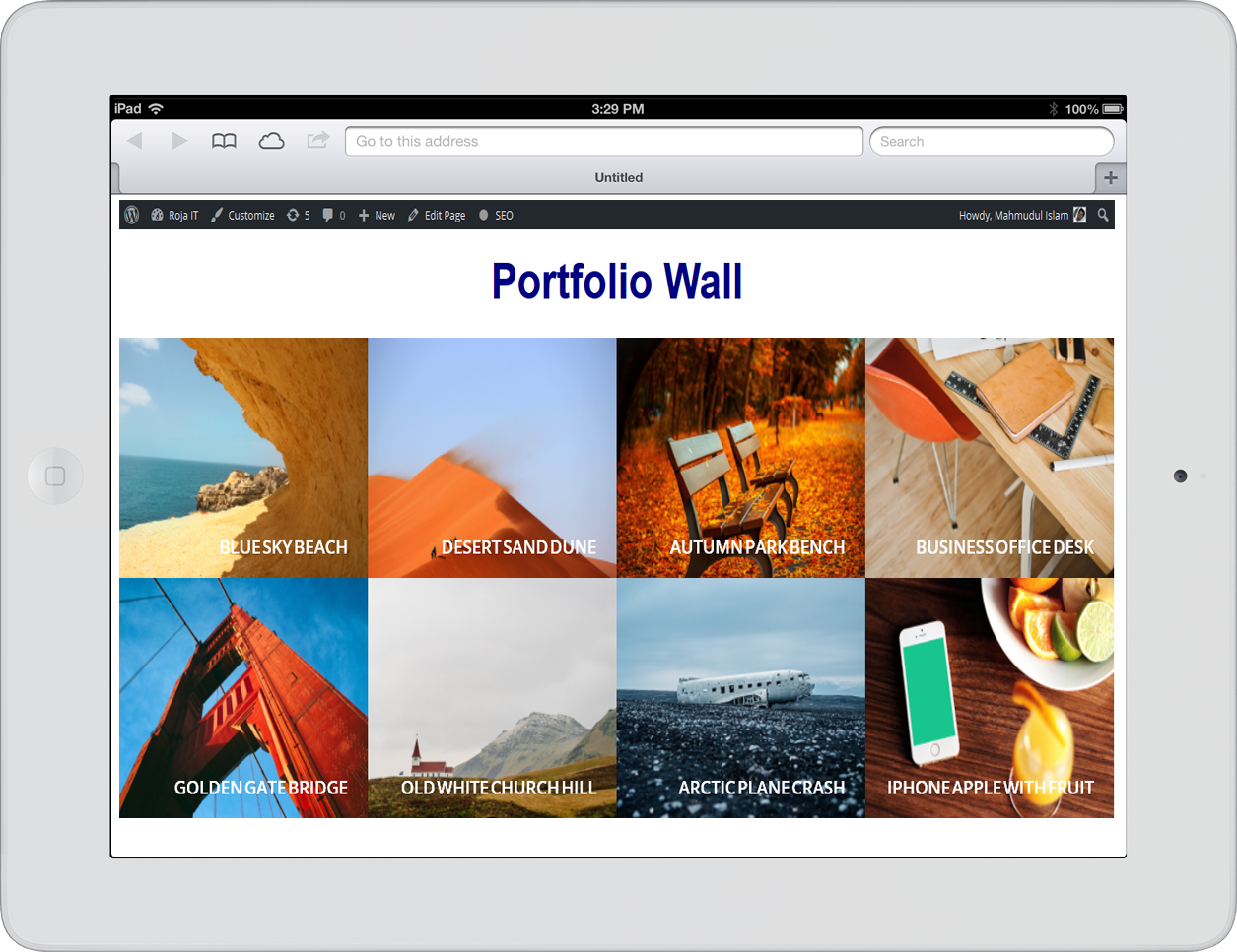 Portfolio responsive display in iPad - Landscape