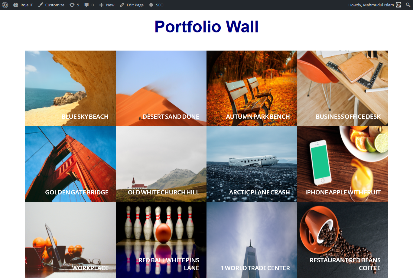 Portfolio displays in Desktop or Notebook