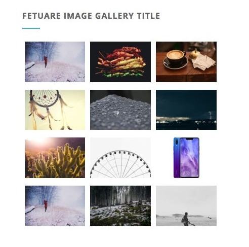Post Feature Image Gallery's Frontend view.