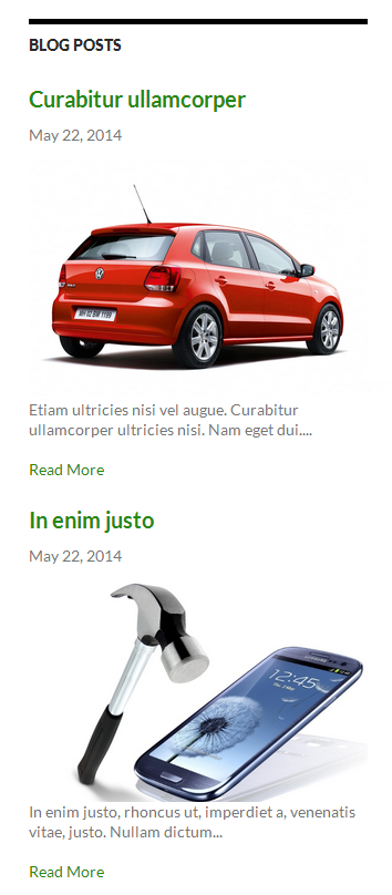 Frontend View