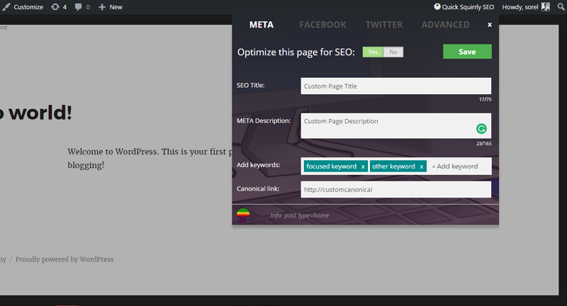 Customize each page for WordPress SEO
