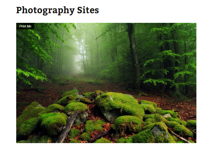 Print Money button on a photography site