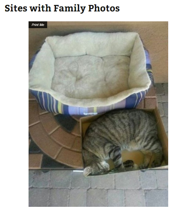 Works well on family photo sites
