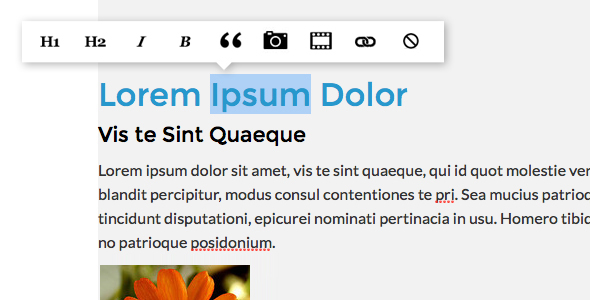 Pro Writer Menu Interface.