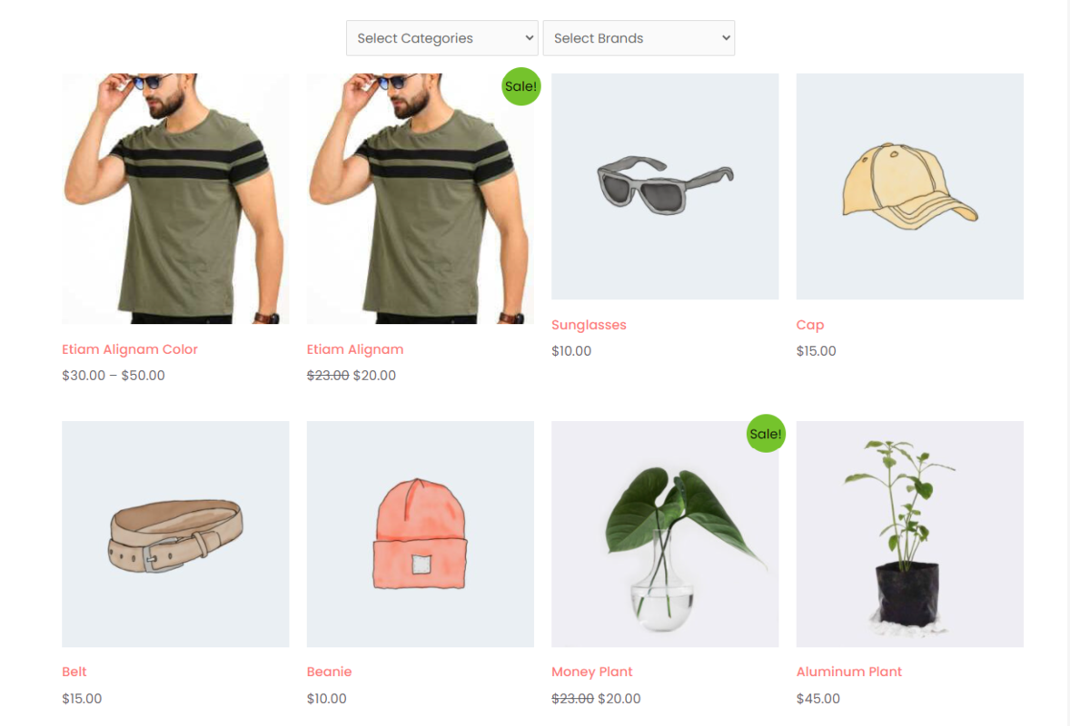 Products grid with categories and brands filter