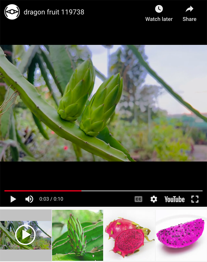 Variable product video