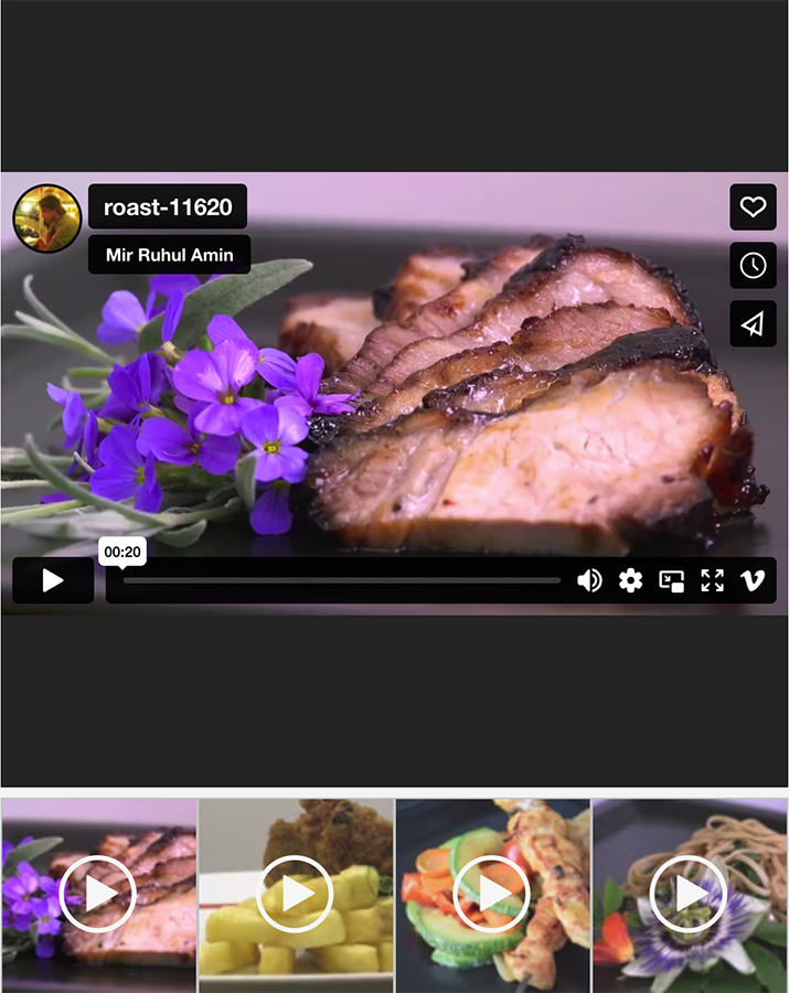 Only Video Gallery