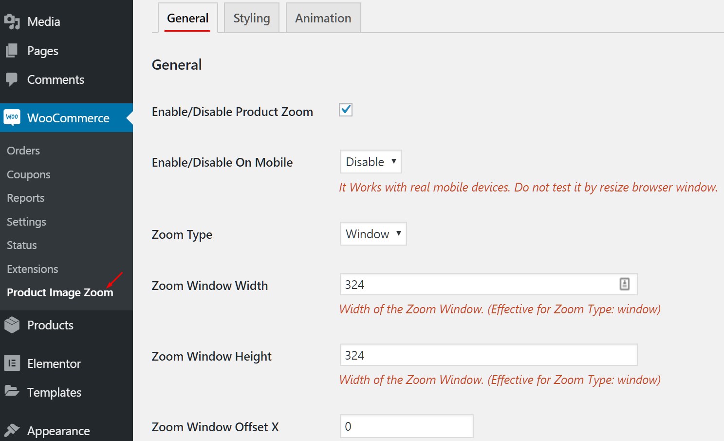 General options to configure the zoom image