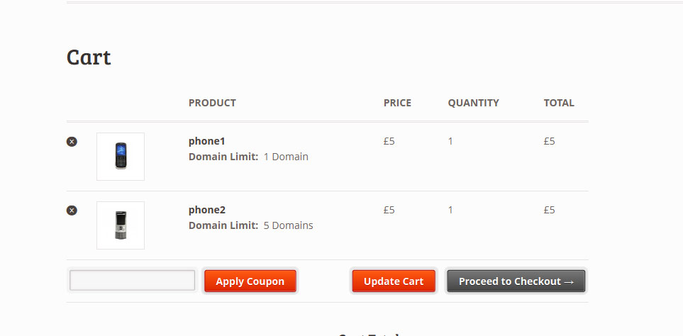 when a customer checkouts product, it shows domain limit field.