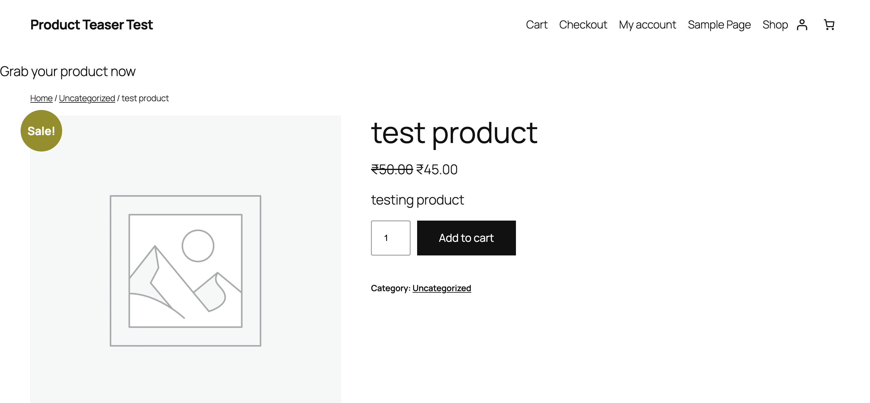 Teaser displayed on the single product page.