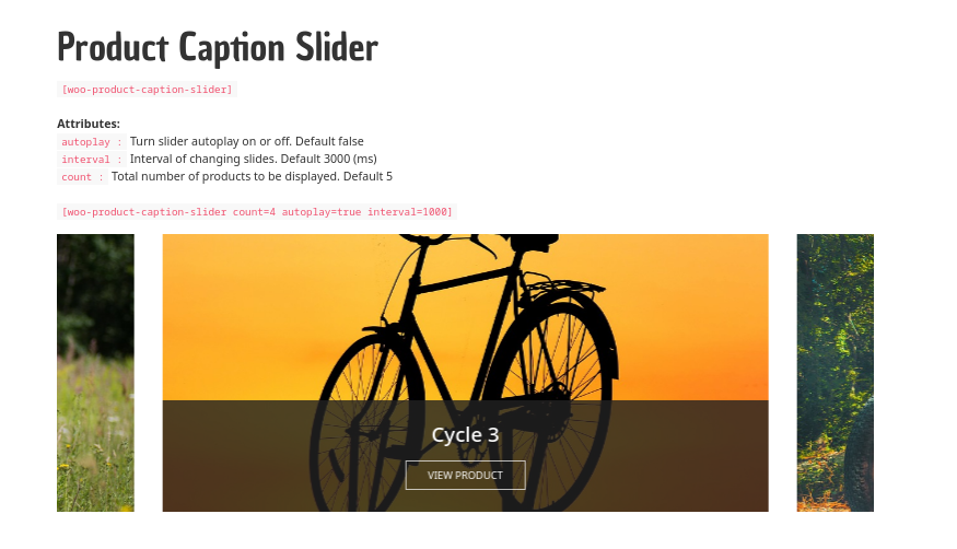 Product slider with animated caption