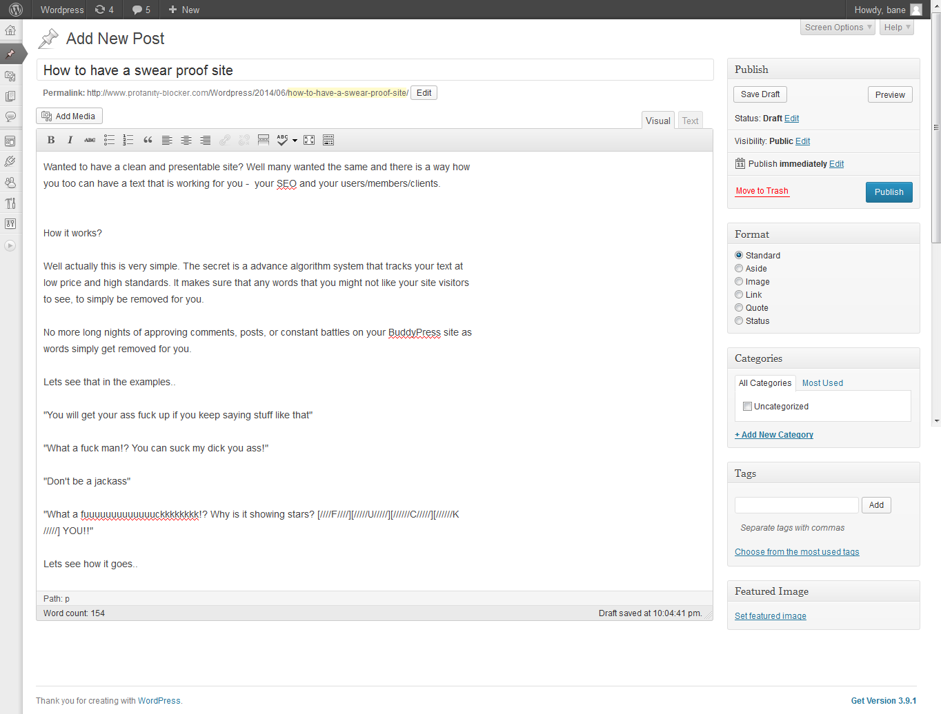 Example of the text before submission.