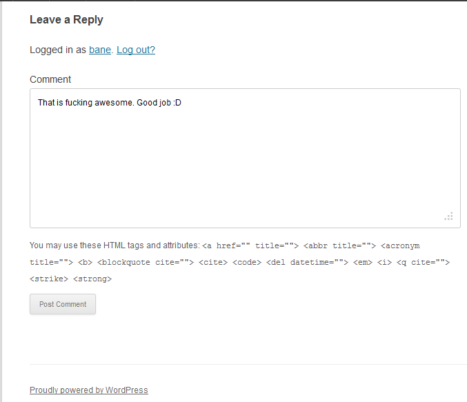 Example of the comment before submission.
