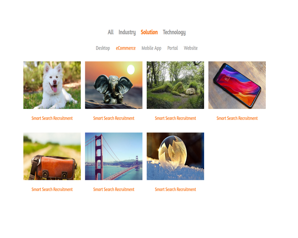 Filtered Portfolio View