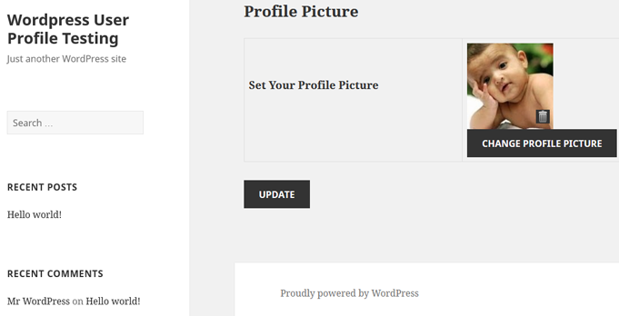 Show the same profile image feature in front end.