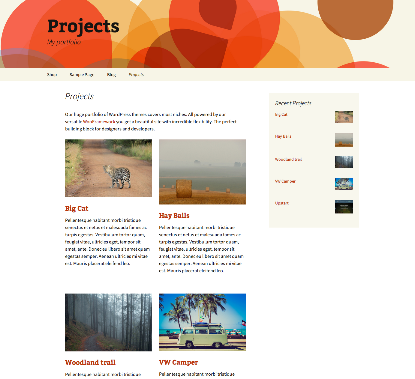 The projects base page