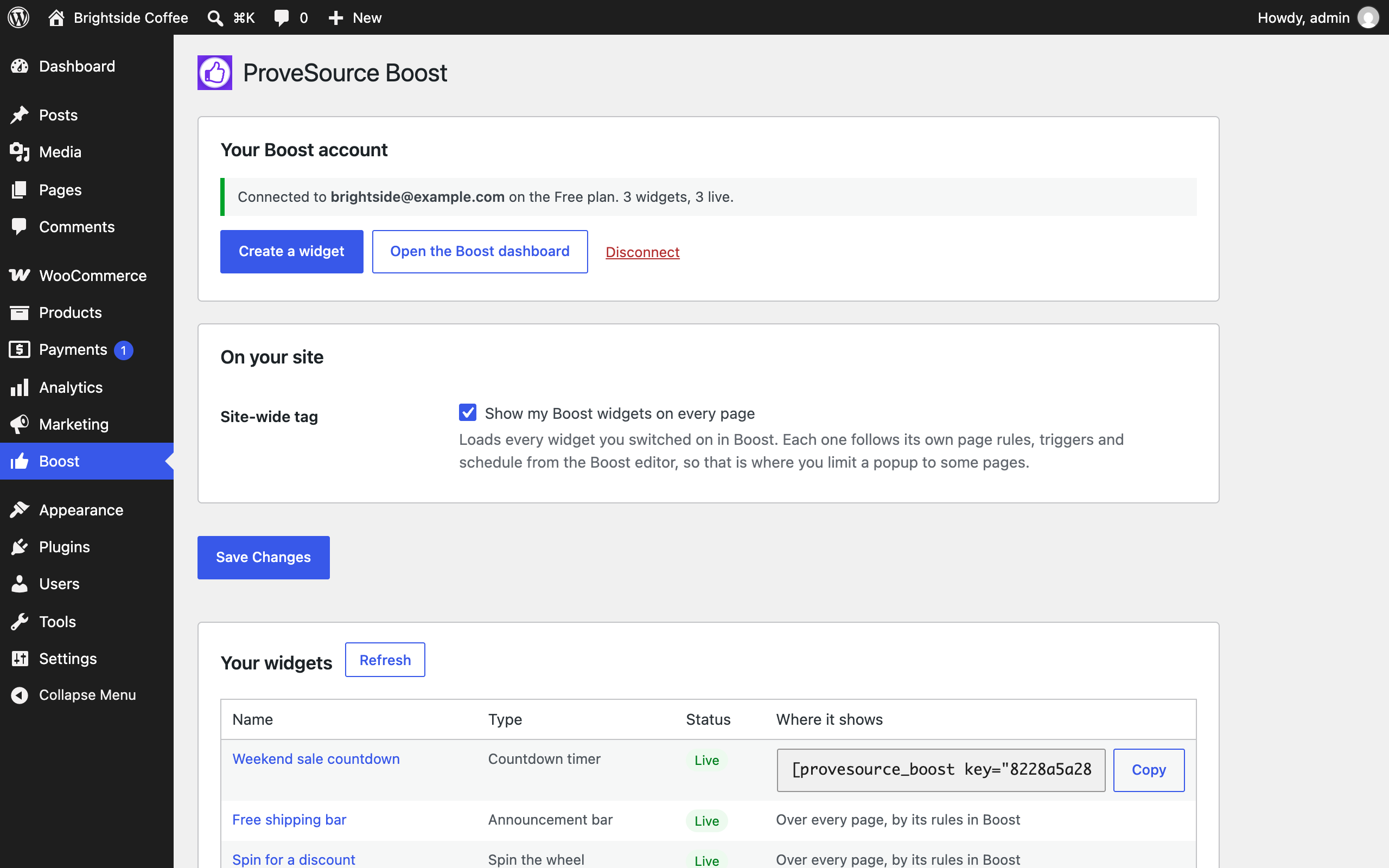 The plugin settings: the connected account, the site-wide tag and every widget with its shortcode.