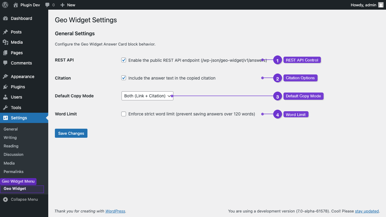 Settings page under Settings → Geo Widget